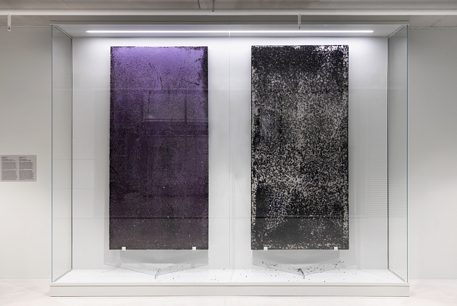 Инсталляция в Доме культуры «ГЭС‑2». Александра Сухарева Начала, 2021 фото № 3