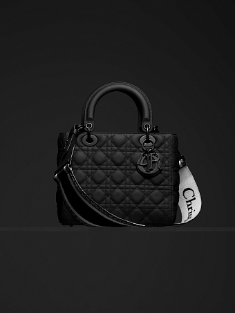 Dior представили коллекцию сумок и аксессуаров Ultra-Matte фото № 6