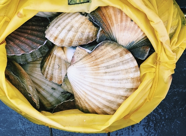 Бьюти-аутсайдеры: морепродукты и другие продукты, которые вредят коже