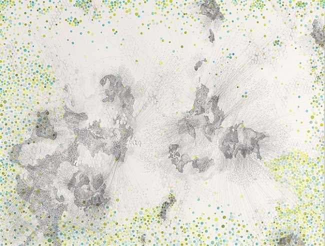 Нирджа Котхари — «В страхе потерять цвет», 2012 фото № 7