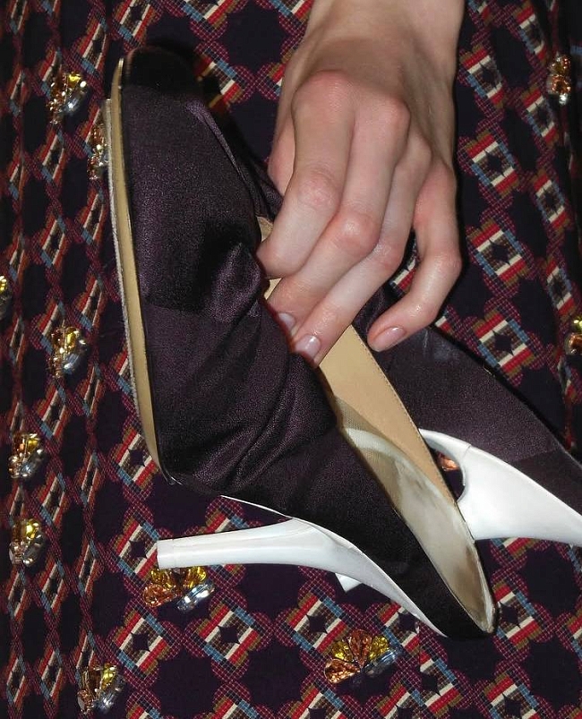 @driesvannoten фото № 5