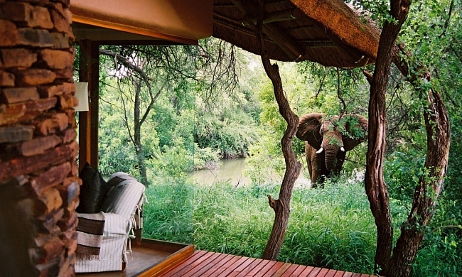 Завтрак с жирафом: 10 отелей, где можно пообщаться с животными фото № 1