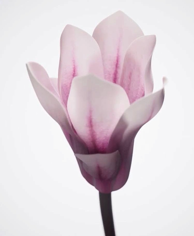 Female technology: золотой век инноваций в сфере женского здоровья фото № 4