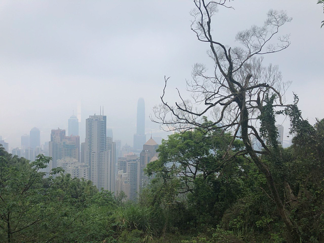 Императорские сады, хутуны и кантонская опера. Гид по местам силы в Китае фото № 15