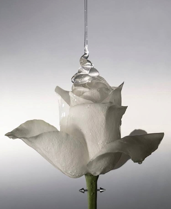 @isamayabeauty фото № 2