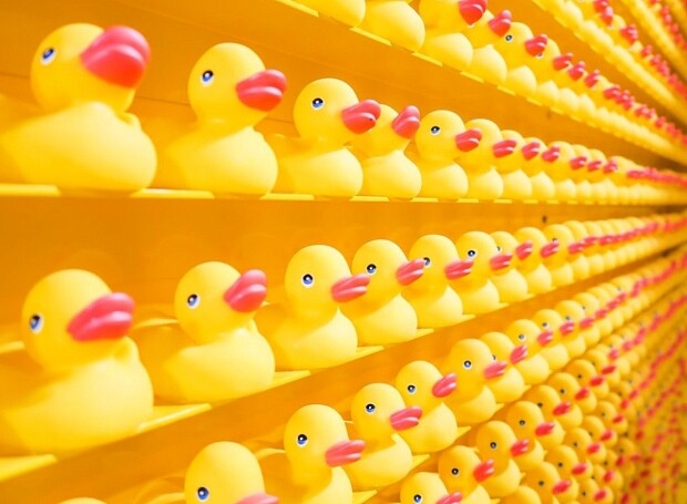 Главные тренды 2020 года: борьба за чистый воздух, электросамокаты, укрощение гнева и любовь к роботам