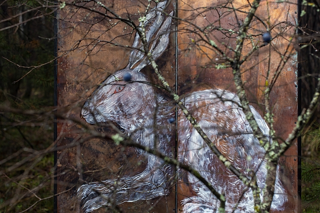 Выставка «Внутри и Снаружи» фото № 5