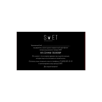 Билеты в гастро-театр SVET фото № 11