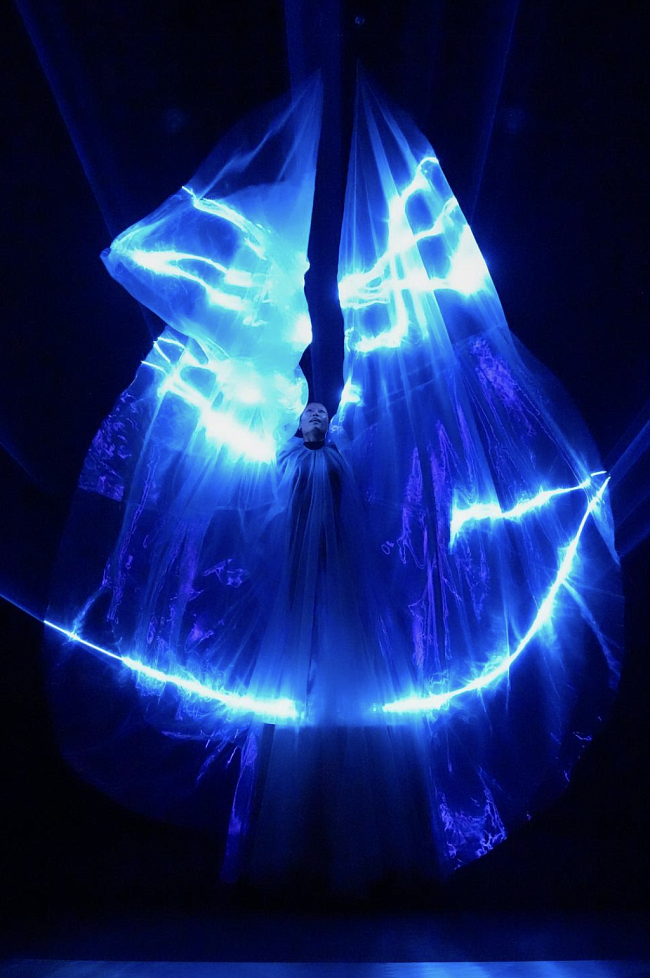 Iris Van Herpen фото № 12
