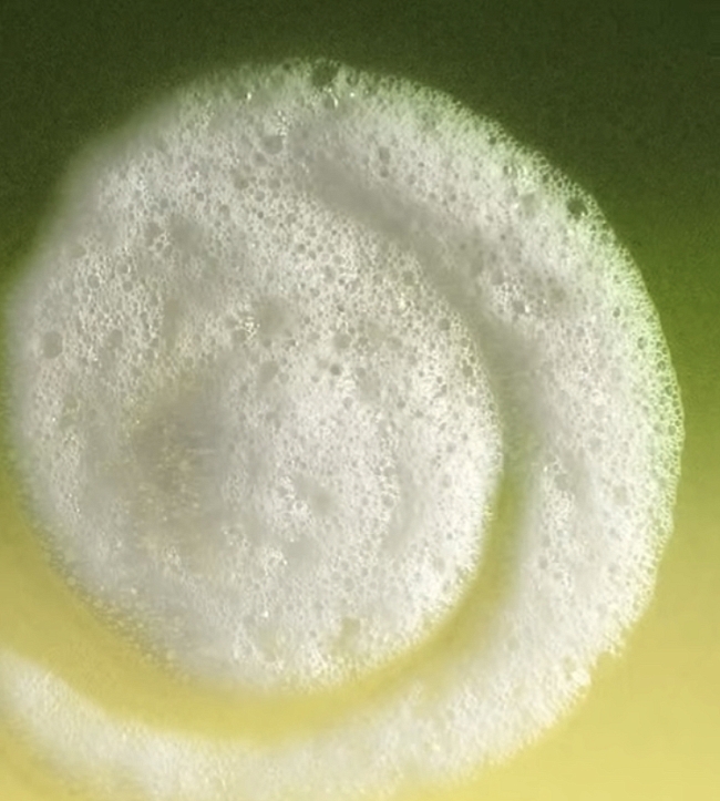 @driesvannoten фото № 4