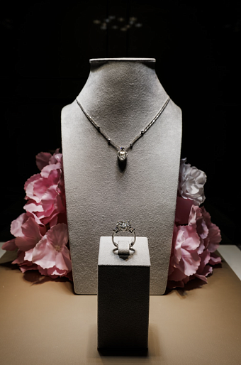 Как прошла презентация коллекции лимитированных украшений LEVIEV diamonds x «Жизнь как чудо» фото № 2