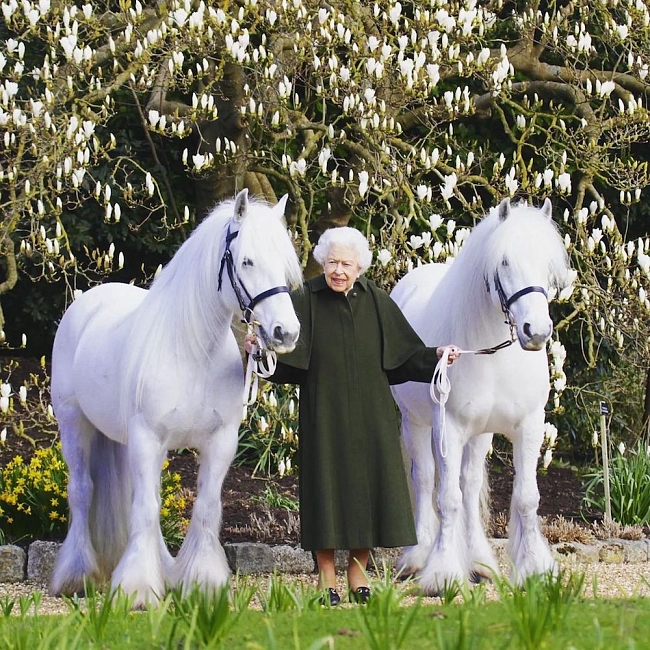 Королева Елизавета II, 2022 год фото № 3