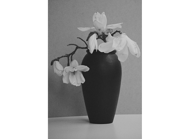 Светский вестник: премьера, спецпоказ спектакля и документального фильма 