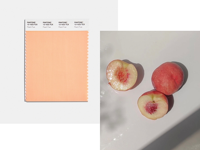 Это полный Peach Fuzz! Мы собрали 15 неочевидных бьюти-средств в нежном персиковом оттенке фото № 2