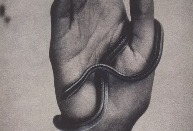 Культурный календарь-2026: чего ждать от кино, музыки, литературы и искусства фото № 15