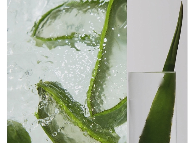 Принцип действия: алоэ вера — универсальный компонент уходовой косметики. И вот, что о нем полезно знать 