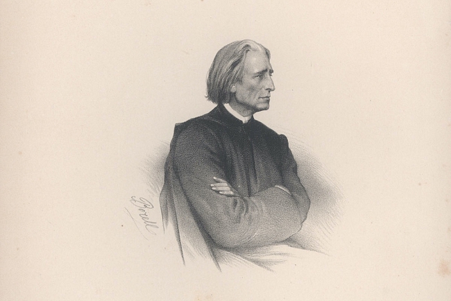 «Play, LISZT!» фото № 3