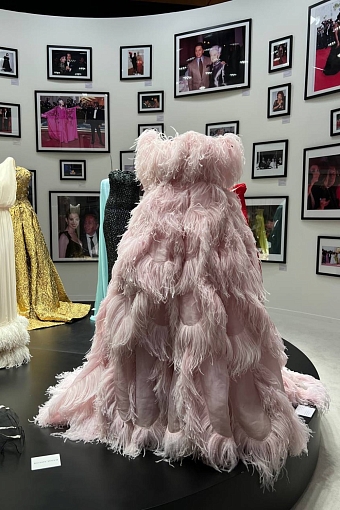 Платье Леди Гаги на выставке Forever – Valentino в Дохе фото № 21