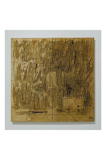 Тима Илларионов, «Золотая середина» фото № 5