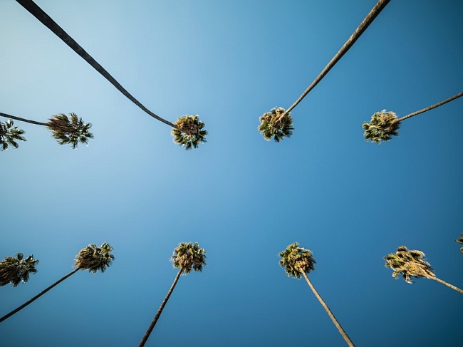 Как полюбить Лос-Анджелес: гид по городу и 39 лучших мест фото № 2