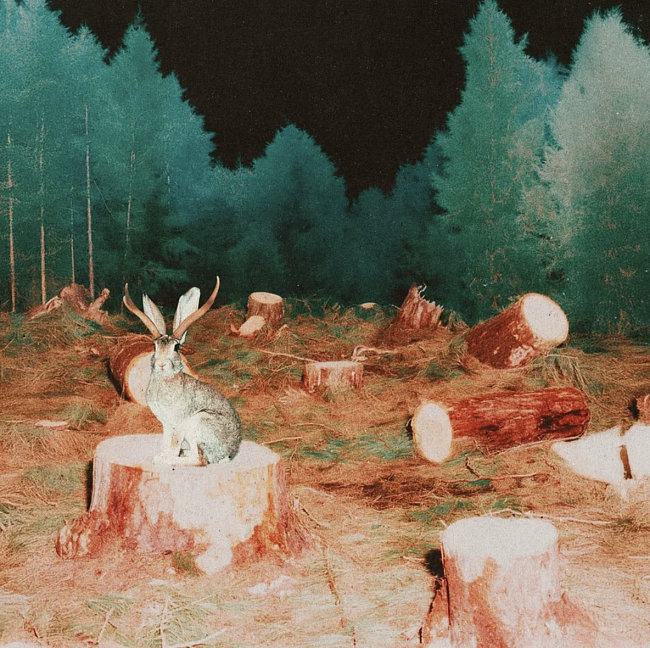 Что мы слушали в декабре: дайджест музыкальных новинок фото № 3