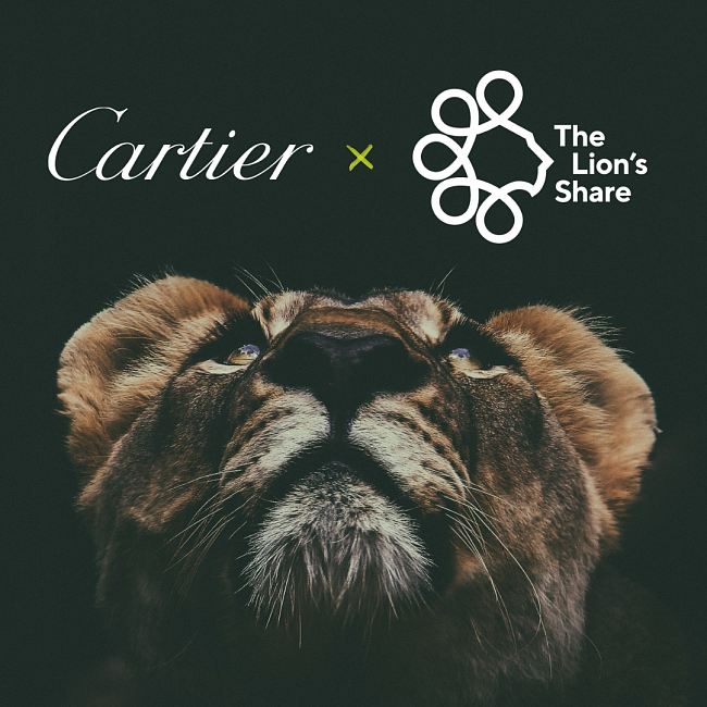 Cartier начали сотрудничество с организацией Lion’s Share Fund фото № 1