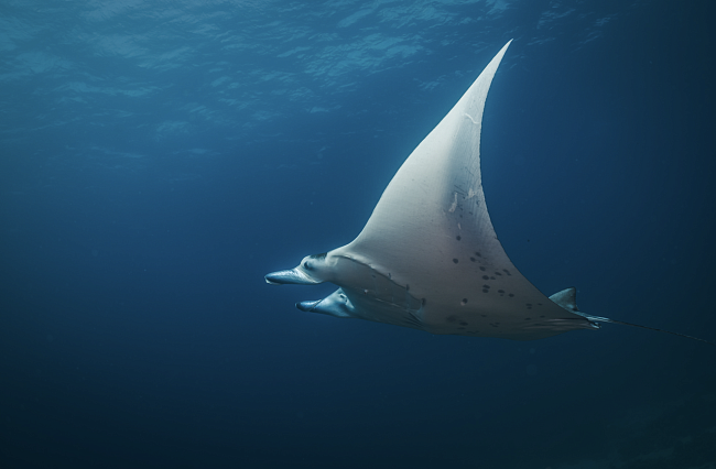 Travel-дайджест: Hideout Residence x Commute, бархатный сезон в Delano Dubai и гастрономические каникулы в Abi d’Oru фото № 6