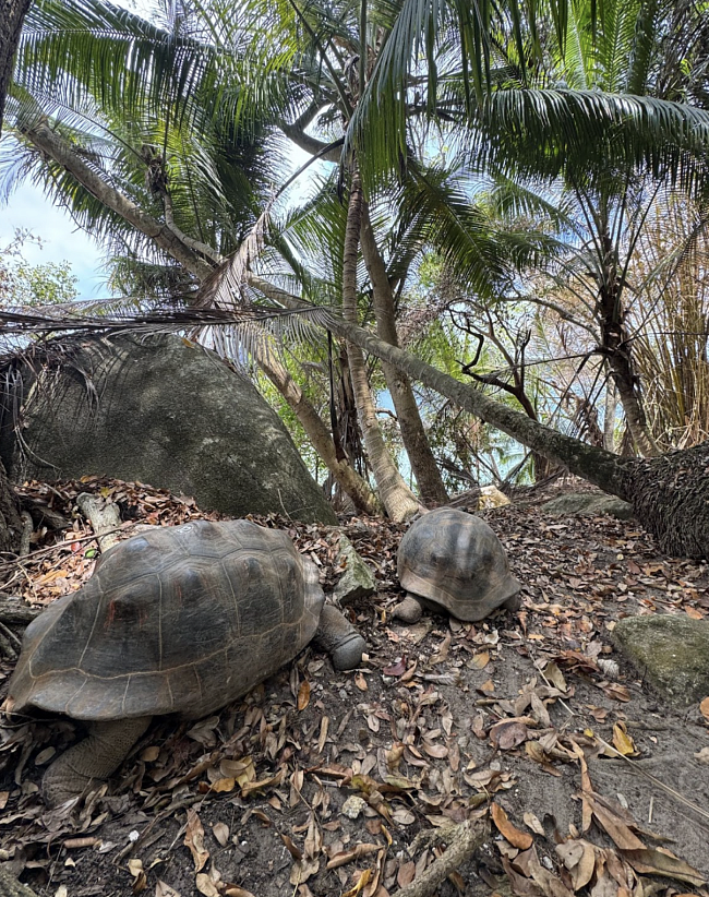 Остров Мойен фото № 16