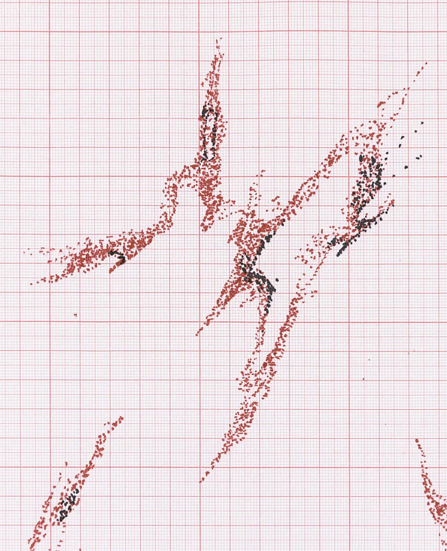 Danil Danot фото № 2