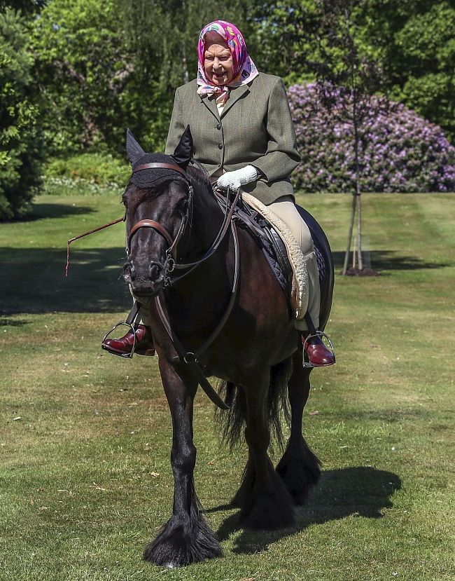Фото дня: королева Елизавета II катается на пони по Виндзорском парку фото № 1