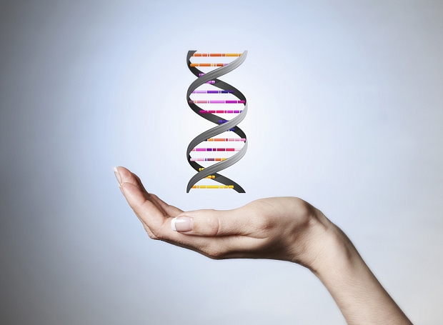 Личный опыт: генетические тесты (и стоит ли их делать)