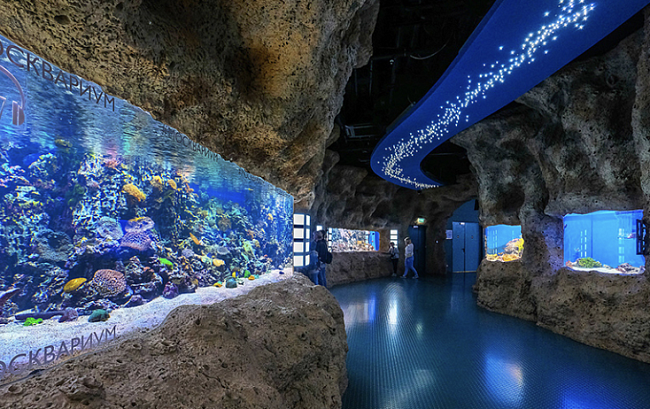 Шоу «Море снов» фото № 15