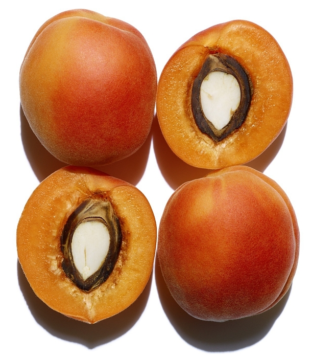 В состав Joli Rouge Velvet включены экстракты солероса и абрикосового масла, которые увлажняют, питают и скрывают шелушение фото № 7