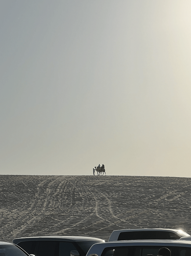 Путешествие по пустыне на юго-востоке Катара фото № 45