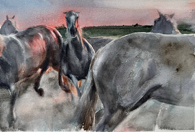 Выставка «Культура лошади. Часть первая. Экспедиция в Камарг» фото № 7