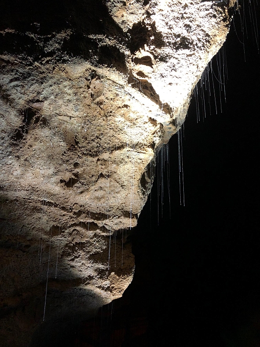 Пещера Waitomo фото № 35